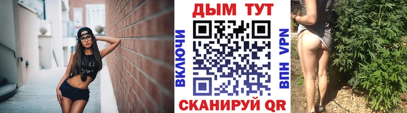 Купить закладки  Емва  МАРИХУАНА сатива 